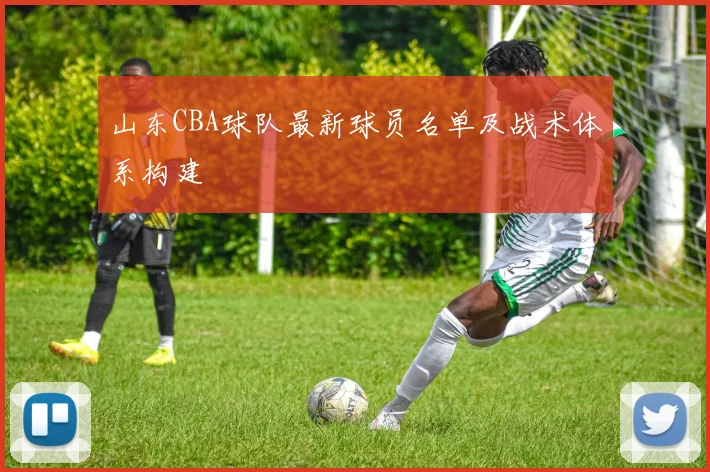 山东CBA球队最新球员名单及战术体系构建